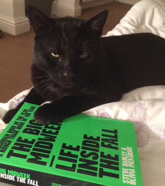 luckymothers 'pet sounds' music blog with pic of black cat with Fall book