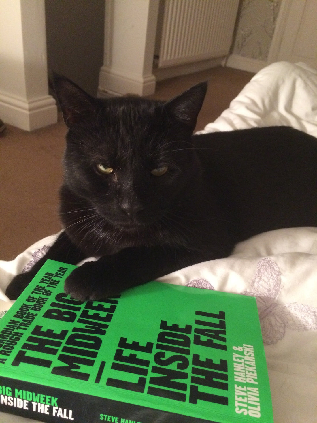 Pet Sounds (a.k.a Studio Playlist 2).