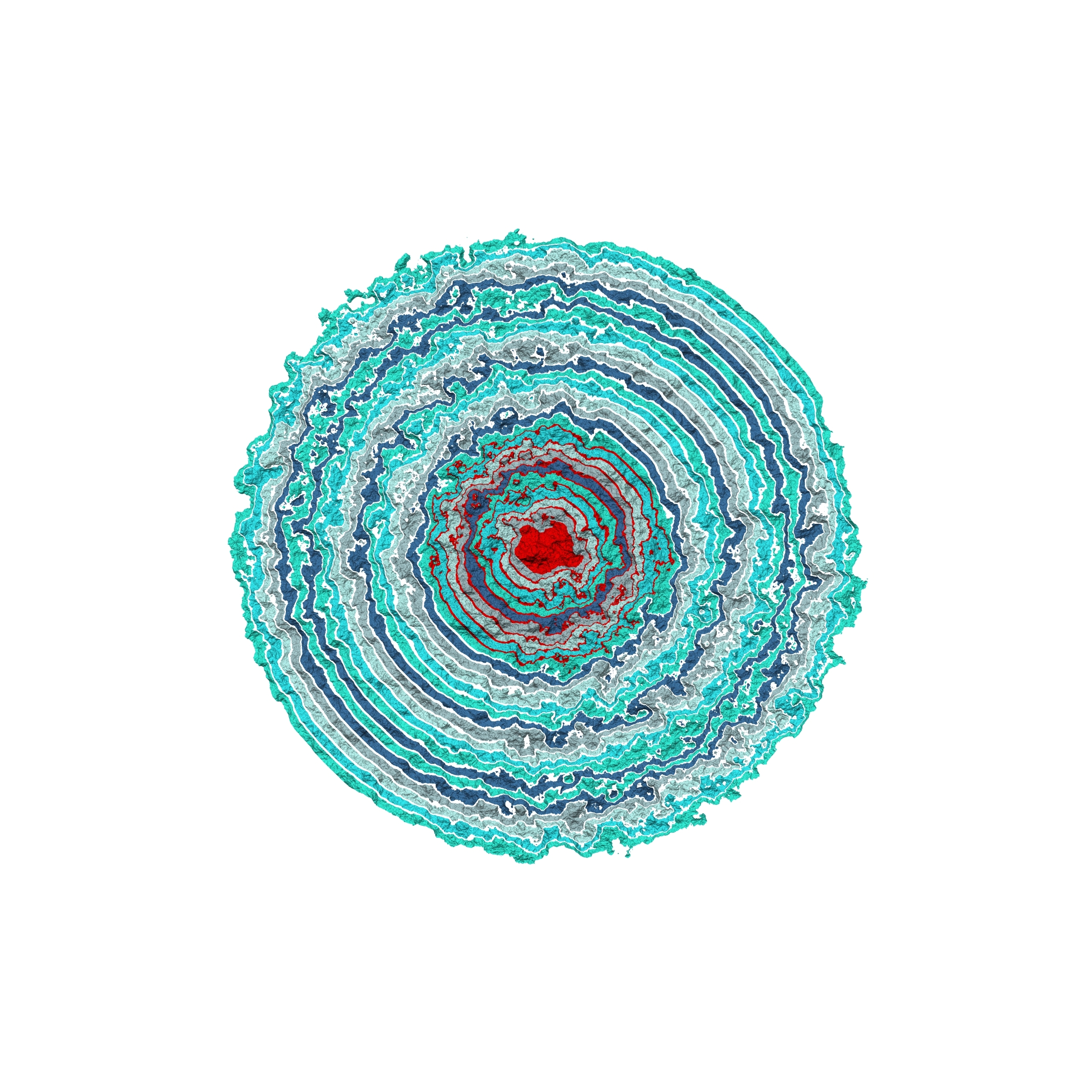 Generative art print of multiple abstract, multi-colour, concentric circles, radiating from small to large simulating Anemone petals.