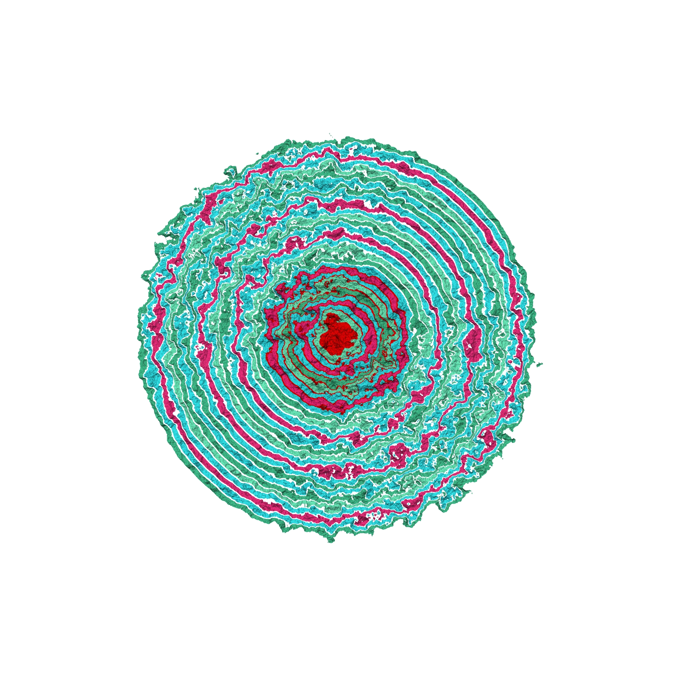 Generative art print of multiple abstract, multi-colour, concentric circles, radiating from small to large simulating Anemone petals.