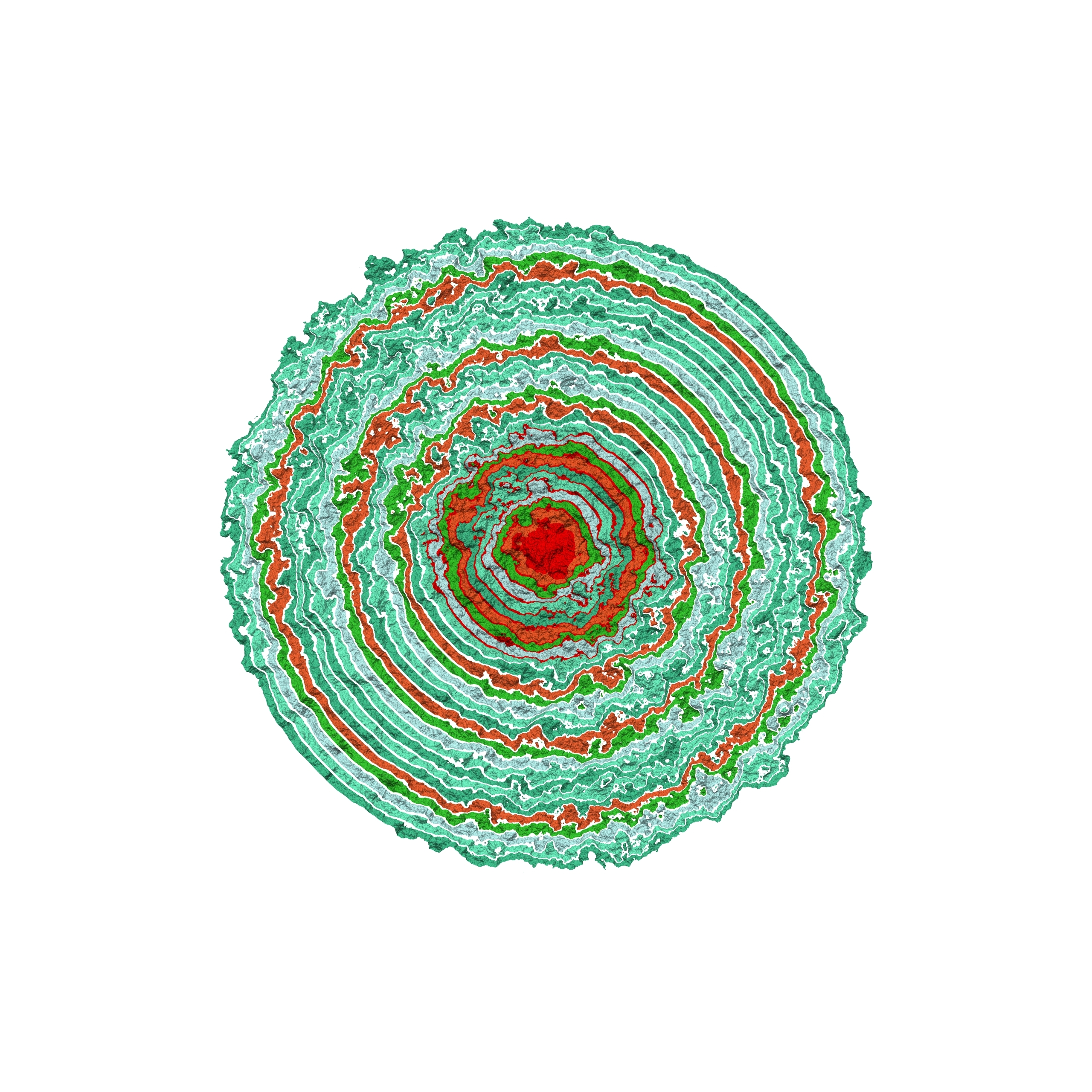 Generative art print of multiple abstract, multi-colour, concentric circles, radiating from small to large simulating Anemone petals.