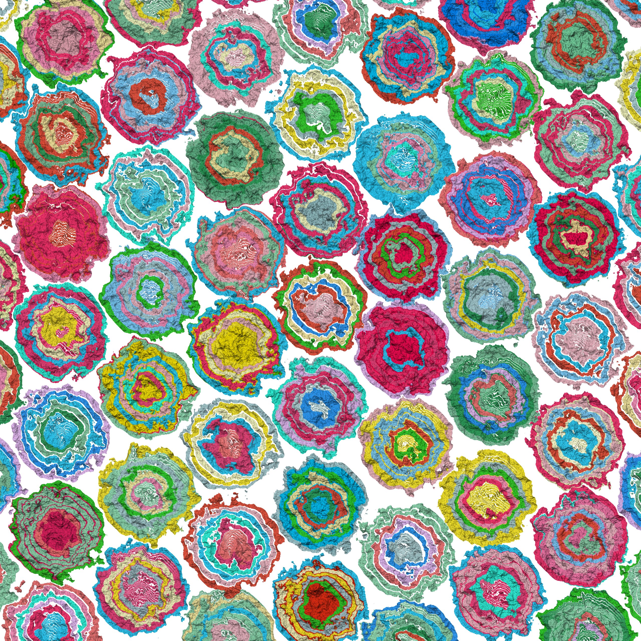Square, generative art print filled with multiple, colourful, abstract shaped flower heads on white background.