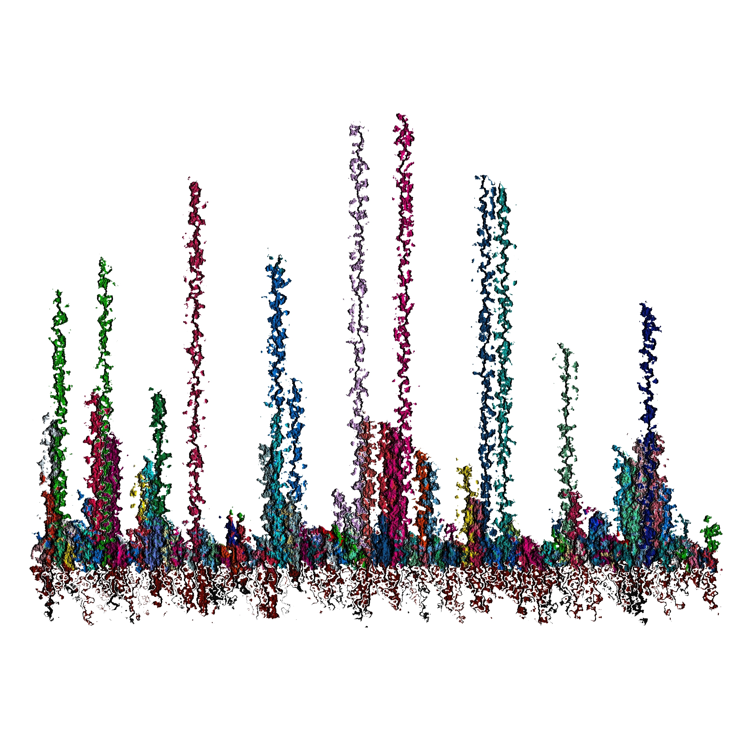 Square, abstract, generative art print of multiple, multicolour abstract tall shaped plants growing upwards from underground roots on a white background.