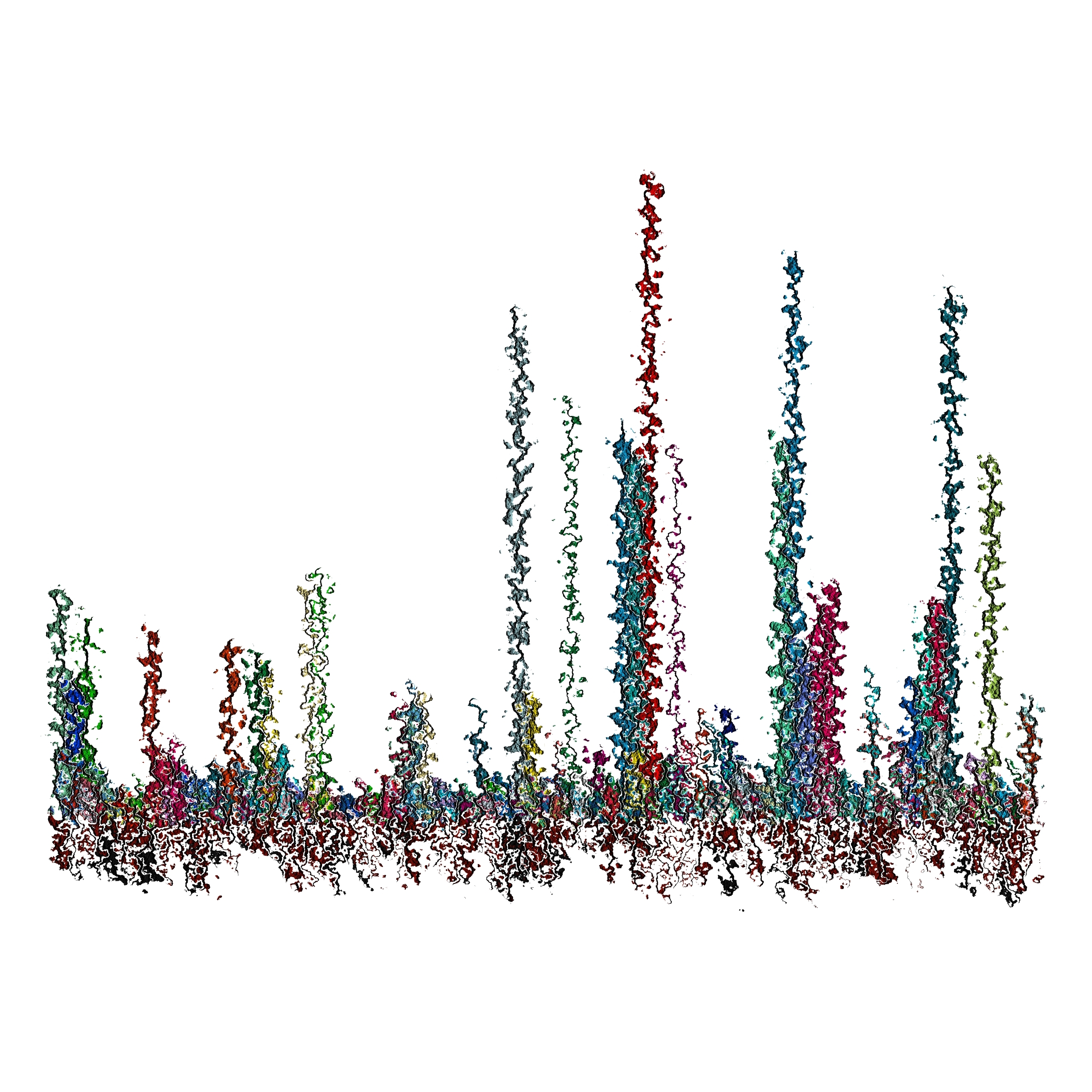 Square, abstract, generative art print of multiple, multicolour abstract tall shaped plants growing upwards from underground roots on a white background.